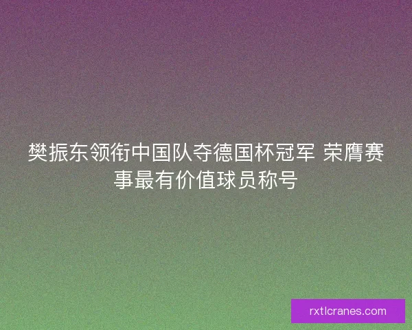 樊振东领衔中国队夺德国杯冠军 荣膺赛事最有价值球员称号
