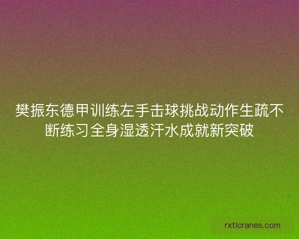 樊振东德甲训练左手击球挑战动作生疏不断练习全身湿透汗水成就新突破